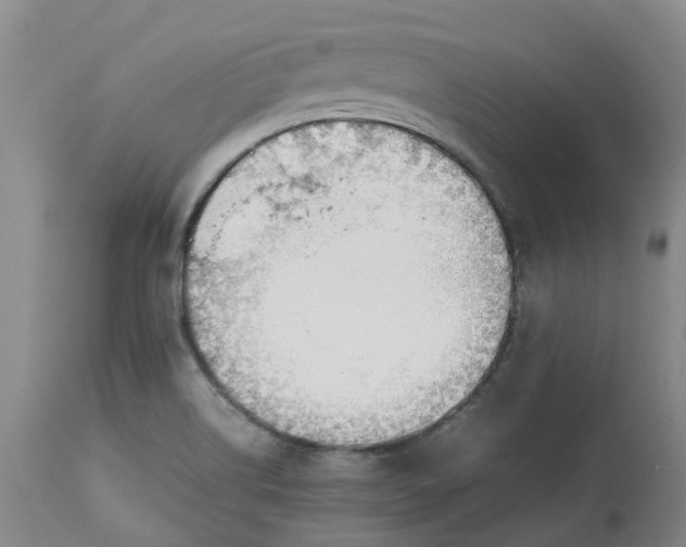 X0000113011514200909171417