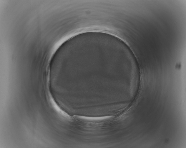 X0000113011515200909171417