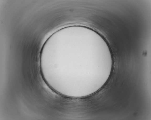 X0000113011516200909171417