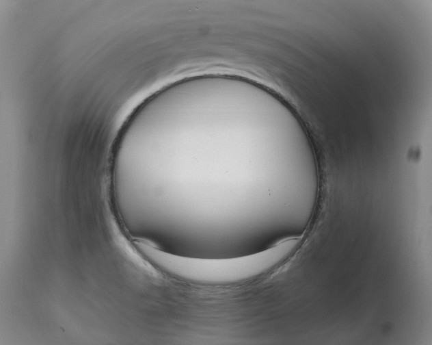 X0000113011518200909171417