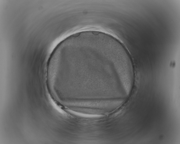 X0000113011519200909171417