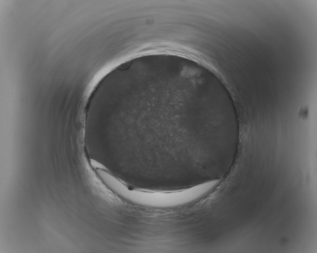 X0000113011522200909171417