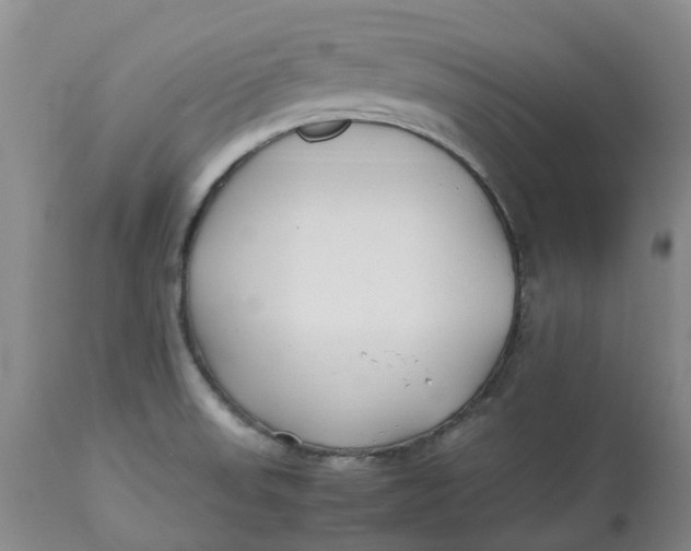 X0000113011523200909171417