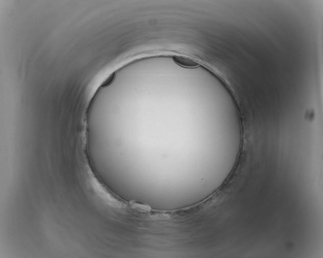 X0000113011524200909171417