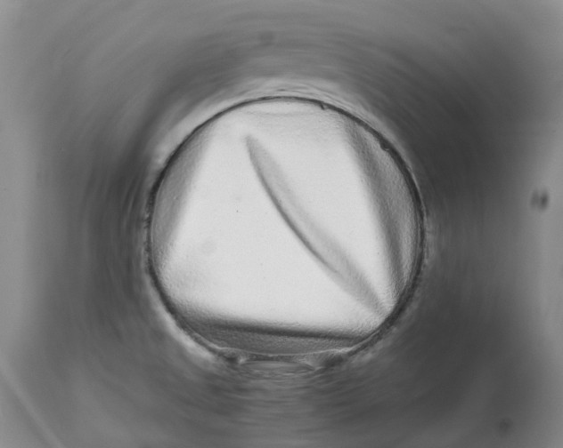 X0000113011525200909171417