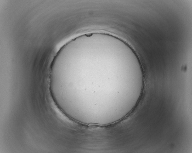 X0000113011526200909171417