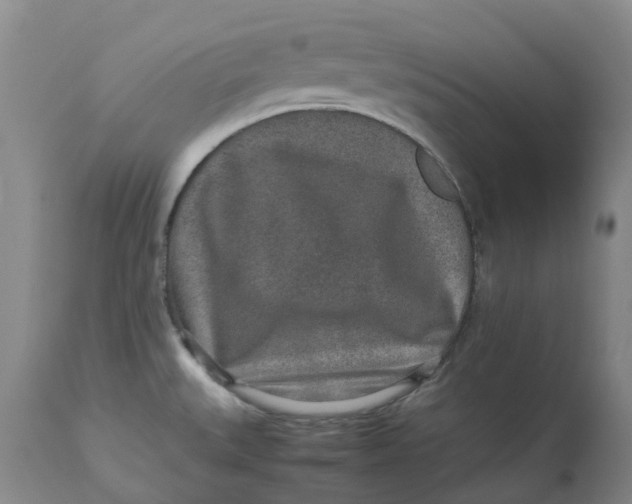 X0000113011527200909171418