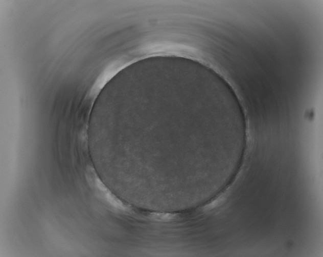 X0000113011529200909171418