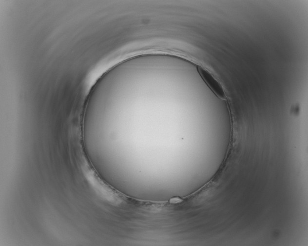 X0000113011530200909171418