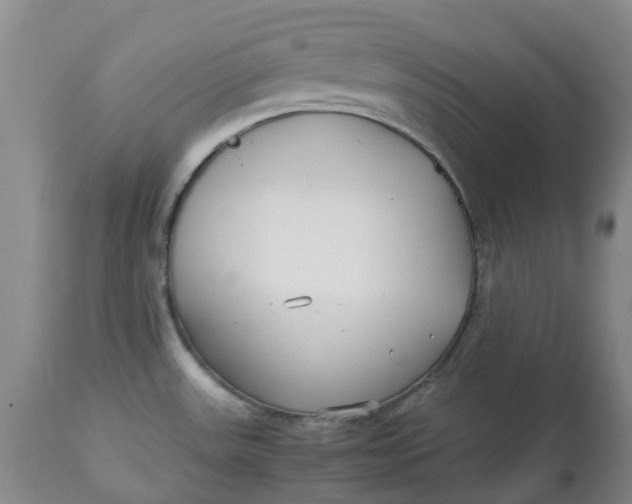 X0000113011531200909171418