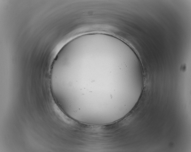 X0000113011532200909171418