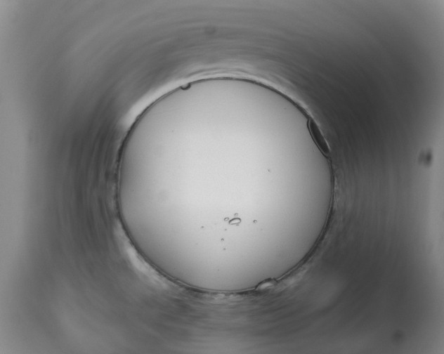 X0000113011534200909171418