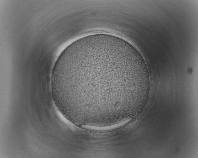 X0000113011535200909171418