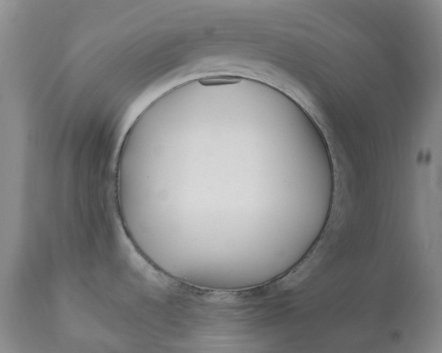 X0000113011536200909171418