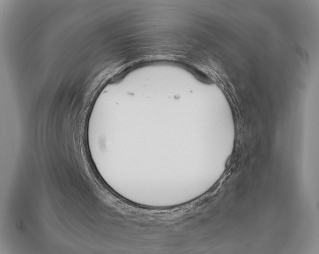 X0000113010001200909241402
