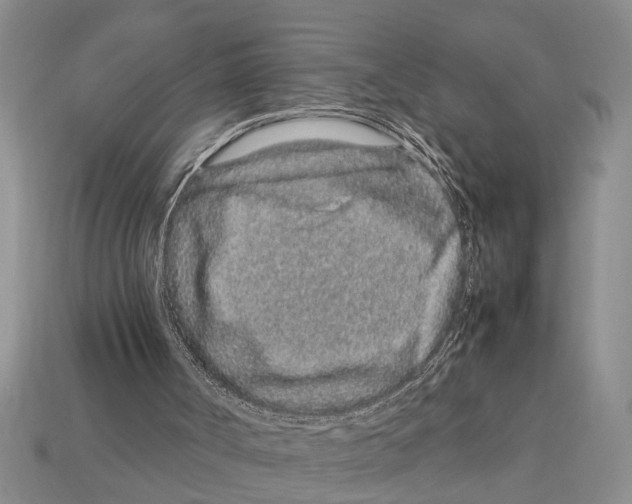 X0000113010002200909241402