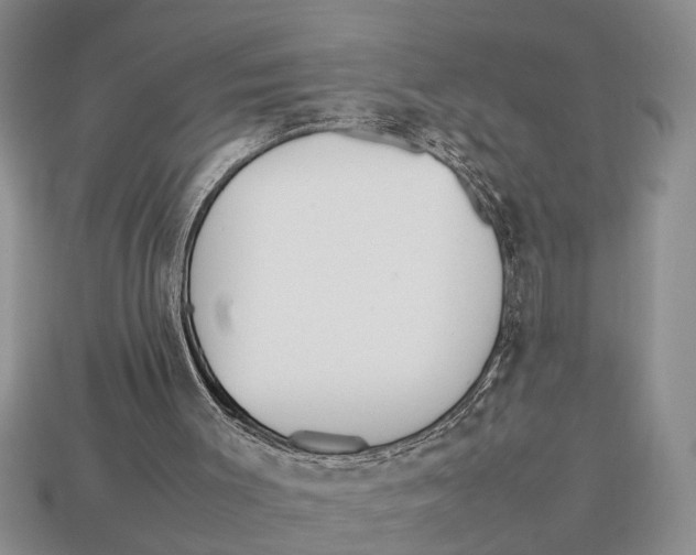 X0000113010003200909241402