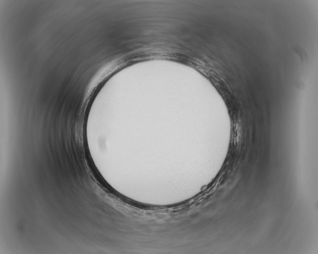 X0000113010004200909241402