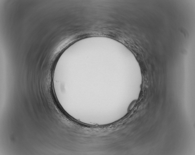 X0000113010005200909241402