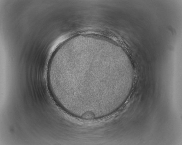 X0000113010006200909241402