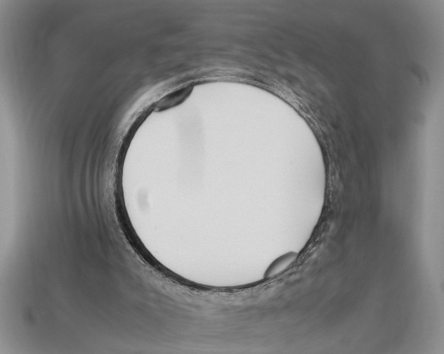 X0000113010007200909241402