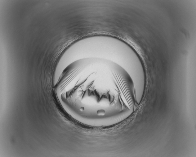 X0000113010009200909241402