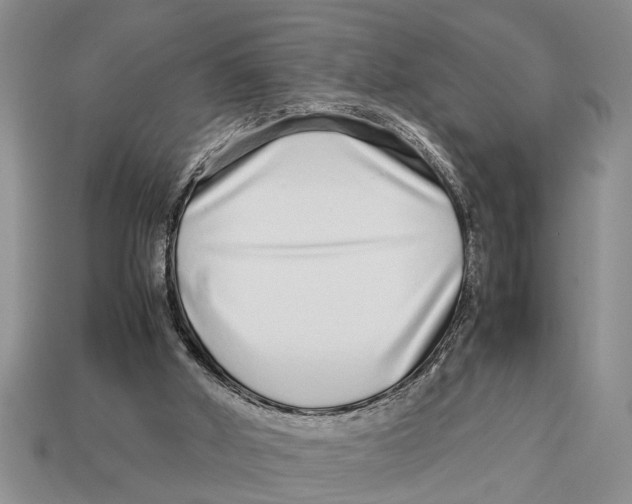 X0000113010010200909241402