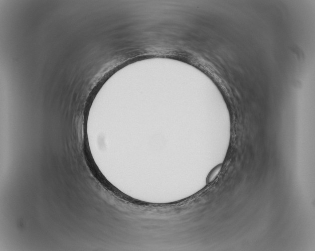 X0000113010011200909241402