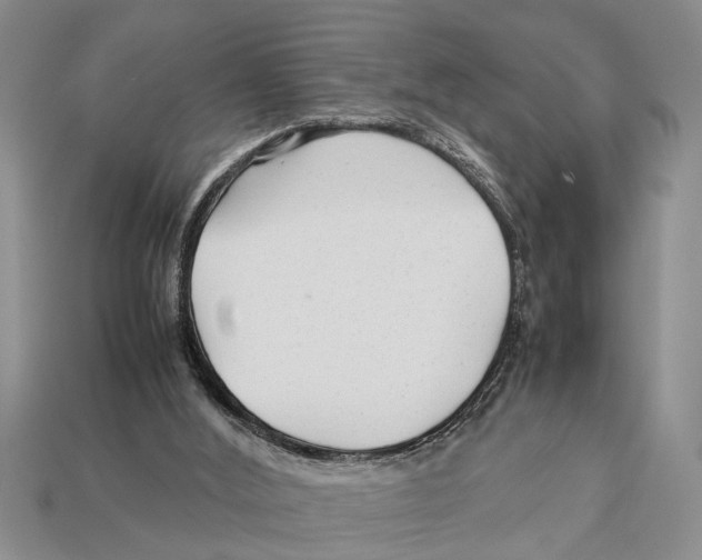 X0000113010012200909241402