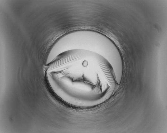 X0000113010013200909241402