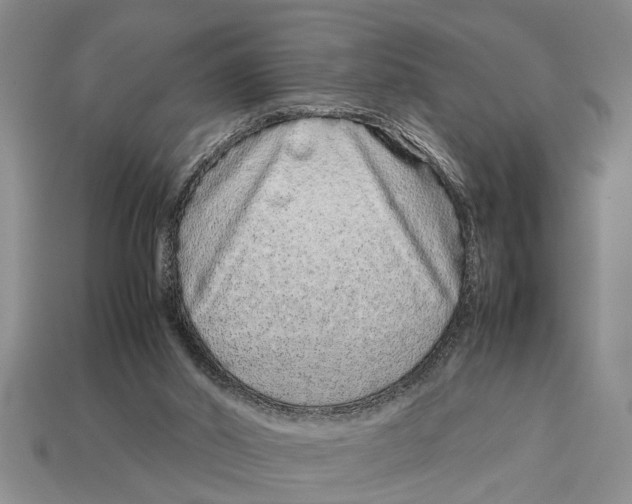 X0000113010014200909241402