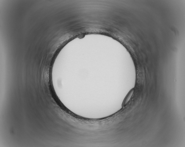 X0000113010015200909241402
