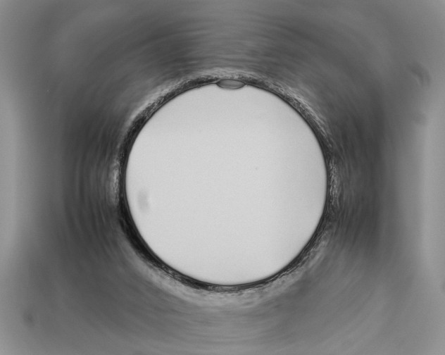 X0000113010016200909241402