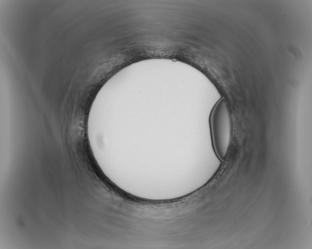 X0000113010017200909241402