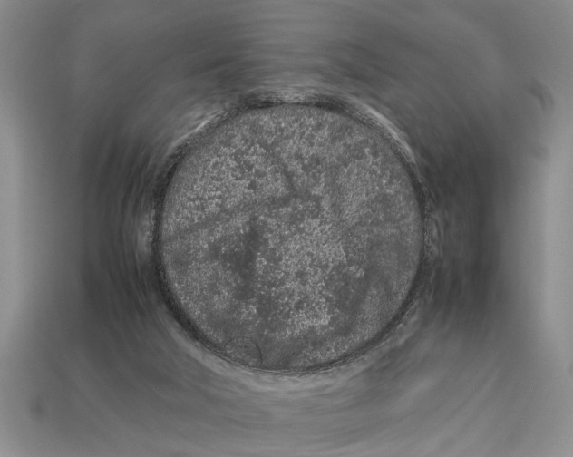 X0000113010018200909241402