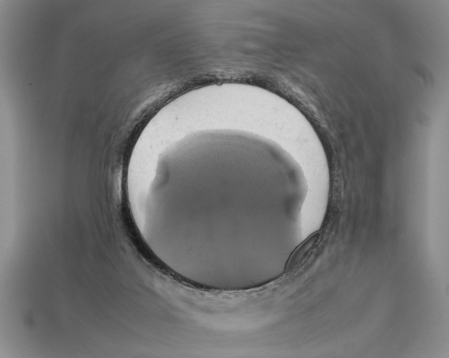 X0000113010019200909241402