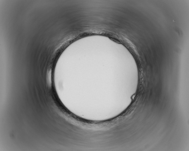 X0000113010020200909241402