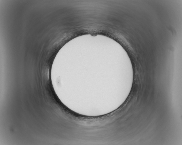 X0000113010021200909241402