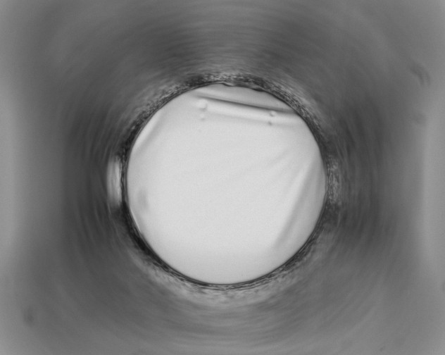 X0000113010022200909241402