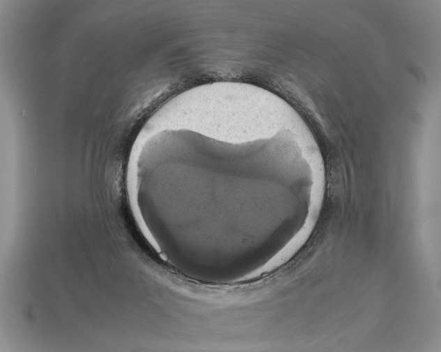 X0000113010023200909241402