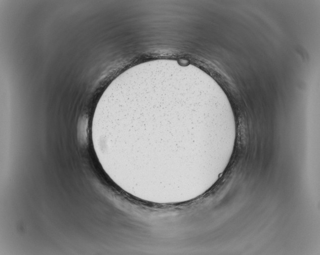 X0000113010024200909241402