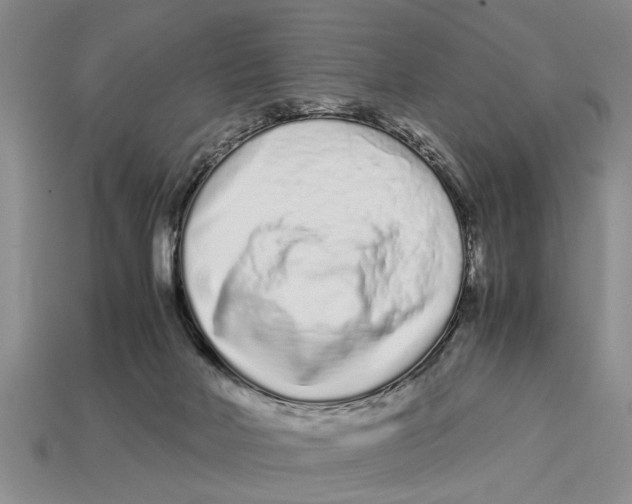 X0000113010026200909241402