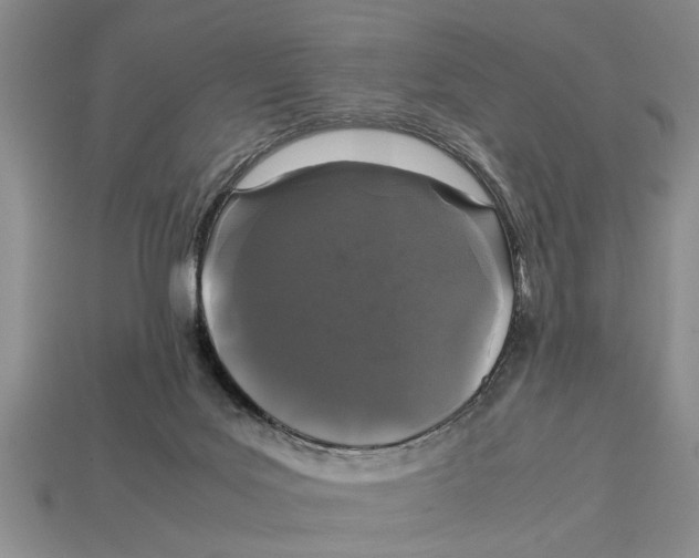 X0000113010027200909241402