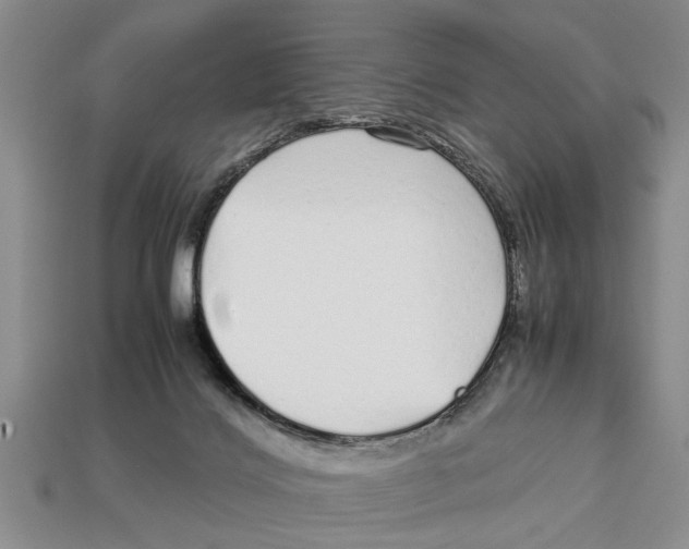 X0000113010028200909241402