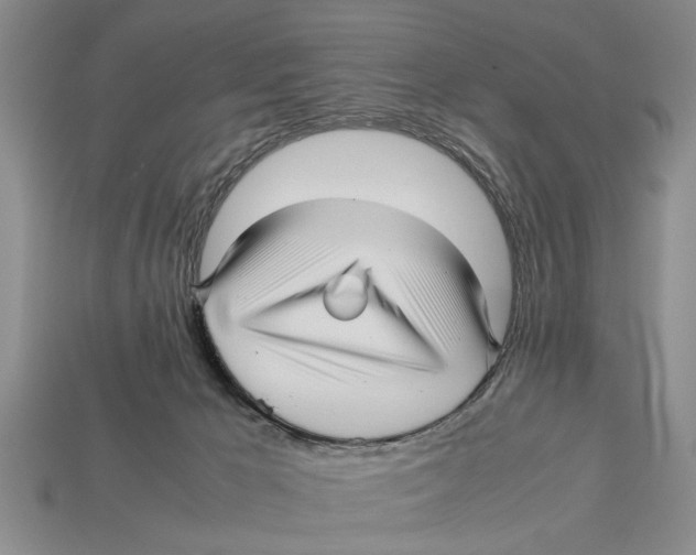 X0000113010029200909241402