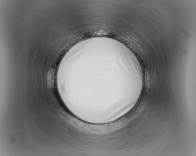 X0000113010030200909241402