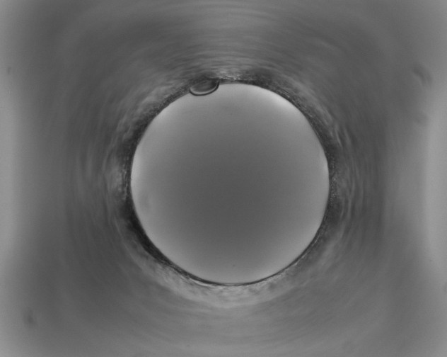 X0000113010031200909241402