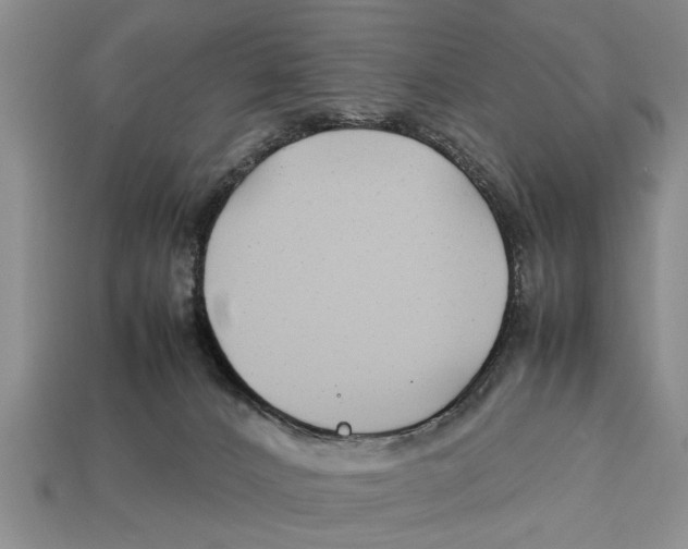 X0000113010032200909241401