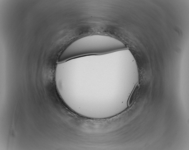 X0000113010033200909241401