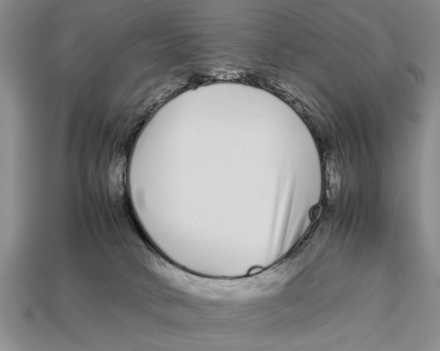 X0000113010034200909241401